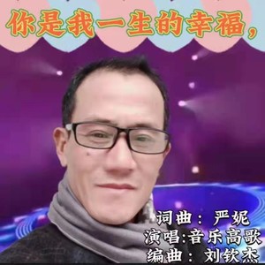 你是我一生的幸福 (男声版)
