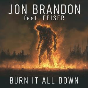 Burn It All Down (feat. Feiser)