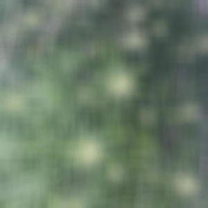 Don't Kill My High (feat. Phino) (Explicit)