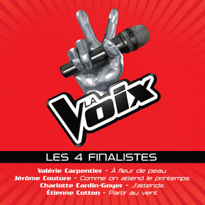 La Voix: Les 4 Finalistes