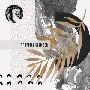 Tropical Slumber - Unique New Age Sleeping Music Collection, Nature & Ambient Music for Total Relax, Stress Relief, Deep Calm Sleep, Nice Dreams, Cure Insomnia, Birds and Water