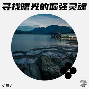 寻找曙光的倔强灵魂
