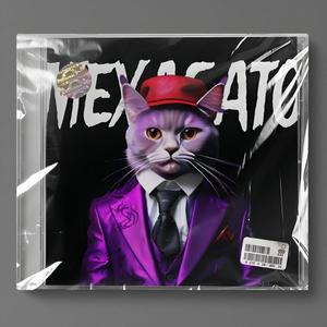 MEXAGATO