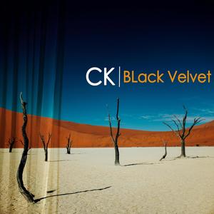 Black Velvet (feat. Christine Dienel)