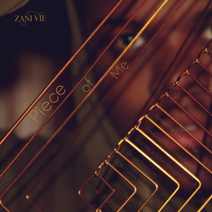 Z.B.S(Zani Boy Summer) (Explicit)