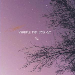 Where did you go
