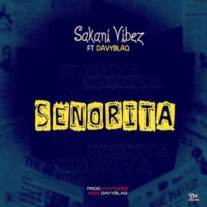 Senorita (Explicit)