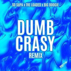 Dumb Crasy (Remix)