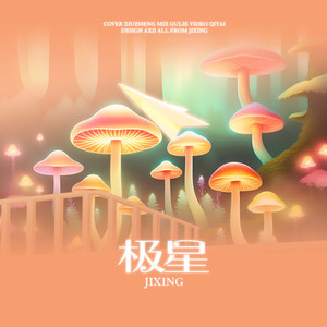 极星·张极十八岁生贺应援曲