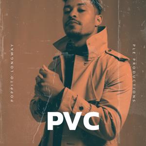 Atiseanal (feat. Ple burb) (Explicit)