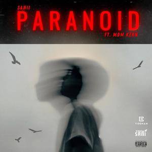 Paranoid (feat. Mdm Kern)