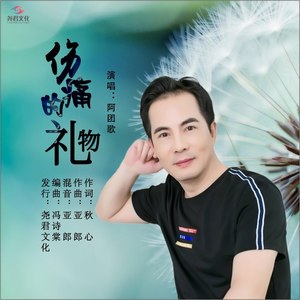 伤痛的礼物 (伴奏)