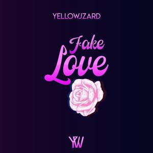 Fake Love (Radio Edit)