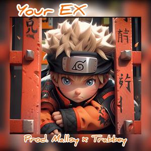 Your EX (Explicit)