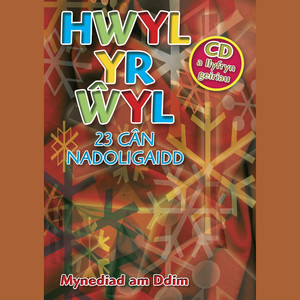 Hwyl Yr Wyl