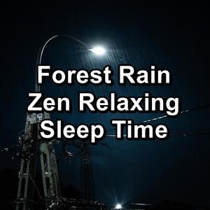 Forest Rain Zen Relaxing Sleep Time