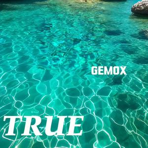 TRUE (Remix)