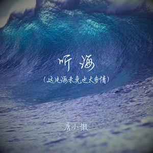 听海（这片海未免也太多情）