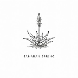 Saharan Spring