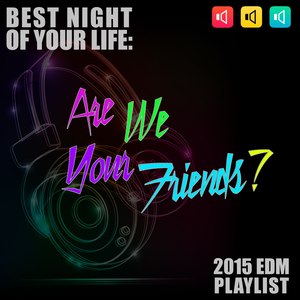 Are We Your Friends? Best Night of Your Life: 2015 EDM Playlist