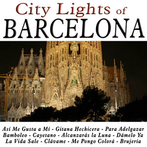 City Lights of Barcelona