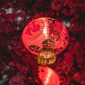 古风  故地重游