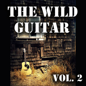 The Wild Guitar, Vol. 2