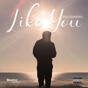Like You (Explicit)