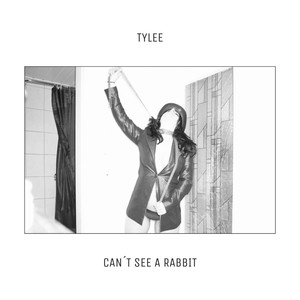 Can't See a Rabbit
