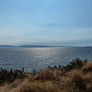 one day everything will be fine