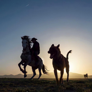 清澈的眼睛 (Live)