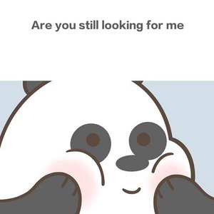 Are you still looking for me