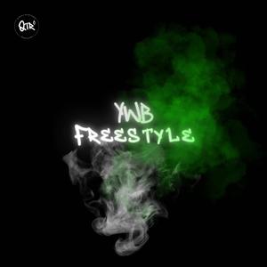 YWB FREESTYLE (Explicit)