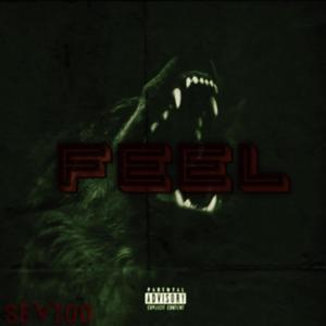 Feel (Explicit)