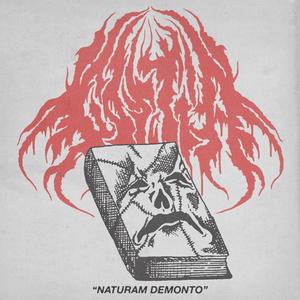 Naturam Demonto