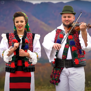 Inimă De-Ai Fi O Piatră