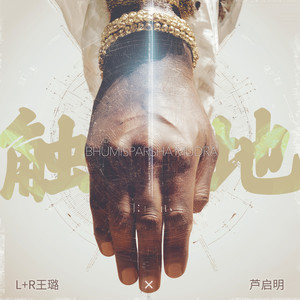 触地（引导语） (Bhumisparsha Mudra Introduction)