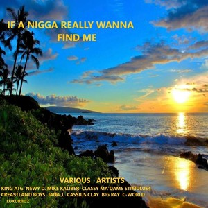 If a Nigga Really Wanna Find Me (Explicit)