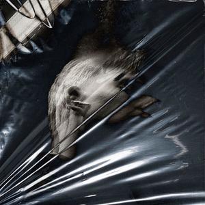 THE MOMENT I RETURNED