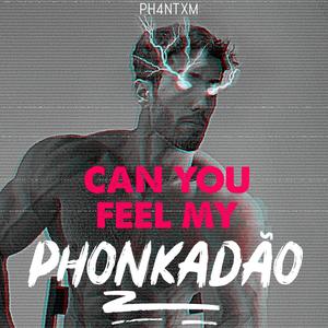 CAN YOU FEEL MY PHONKADÃO