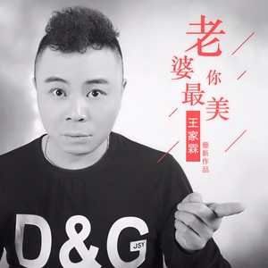 王家霖 - 老婆你最美 (伴奏)