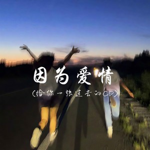 因为爱情（给你一张过去的CD）