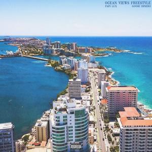 Ocean Views (Freestyle) (feat. Goose Dinero) (Explicit)