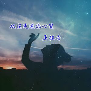 从没走进你心里