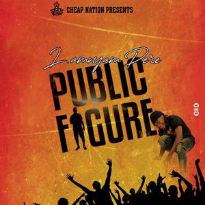 Public figure