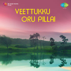 Veettukku Oru Pillai