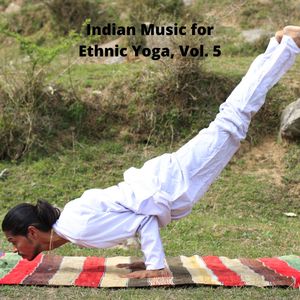 Indian Music For Ethnic Yoga, Vol. 5