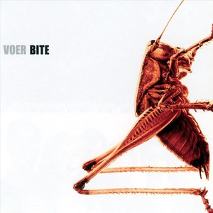 The ***** (feat. Afra Mussawisade, Jeroen van Vliet, Mark Haanstra & Eric Hoeke)