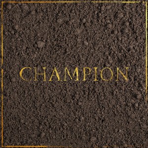 Champion (feat. Vaann)