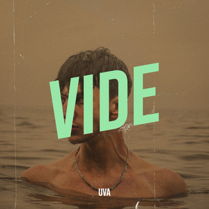 vide